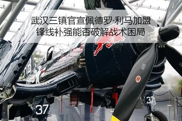 wu-han-san-zhen-guan-xuan-pei-de-luo-li-ma-jia-meng-feng-xian-bu-qiang-neng-fou-po-jie-zhan-shu-kun-ju-3-245.jpg